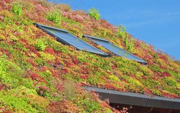 North Wingfield living roof systems